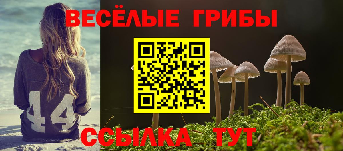Галлюциногенные грибы мухоморы Донецк